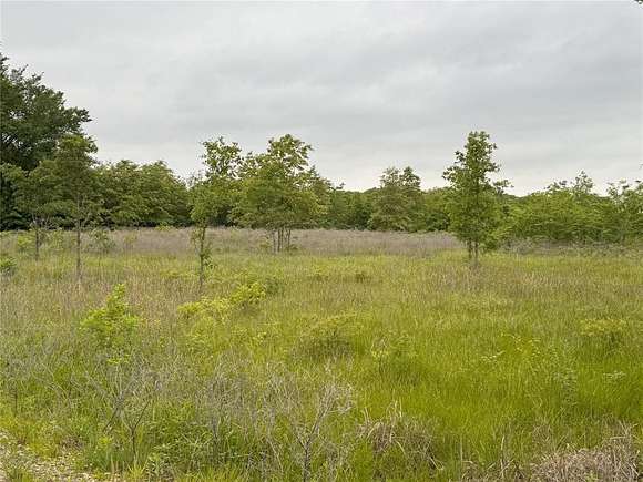 10 Acres of Land for Sale in Alba, Texas