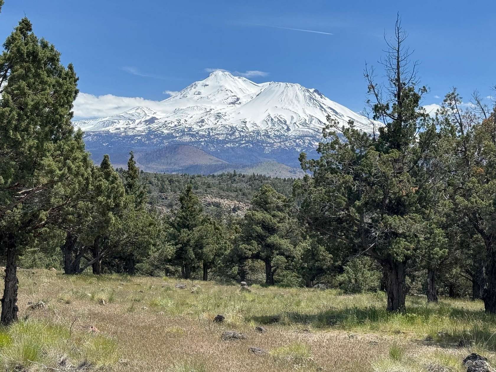 0.31 Acres of Residential Land for Sale in Weed, California