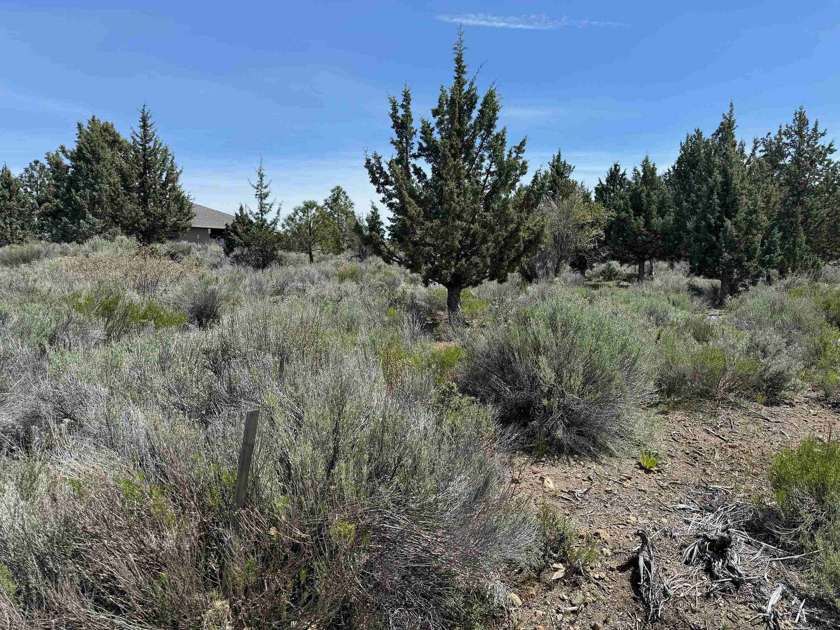 0.23 Acres of Residential Land for Sale in Weed, California