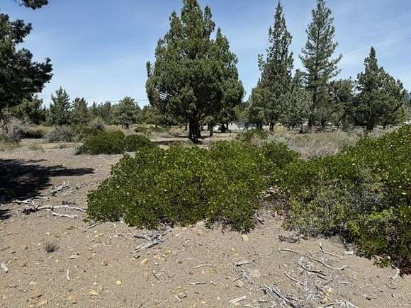 0.24 Acres of Residential Land for Sale in Weed, California
