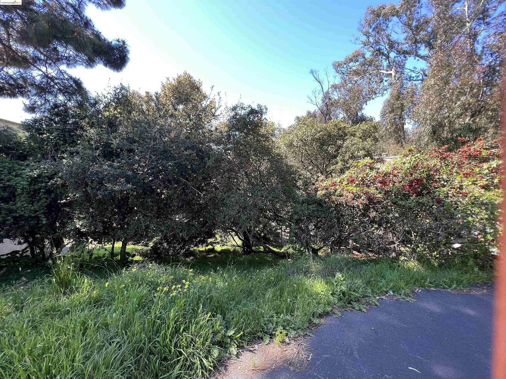 0.23 Acres of Improved Residential Land for Sale in Albany, California