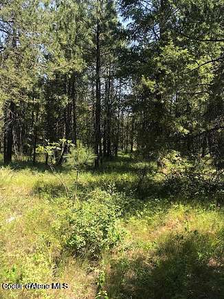 10 Acres of Residential Land for Sale in Rathdrum, Idaho