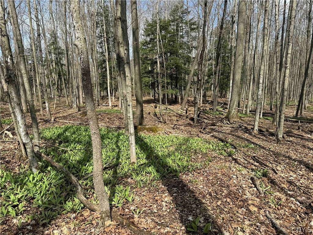 5 Acres of Residential Land for Sale in Grove, New York