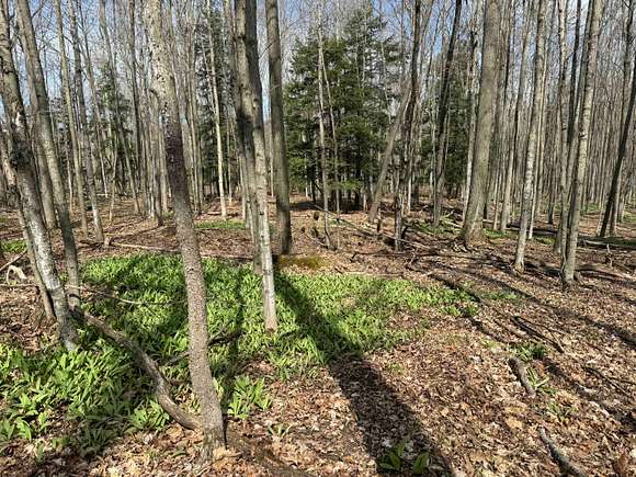 5 Acres of Recreational Land for Sale in Grove, New York
