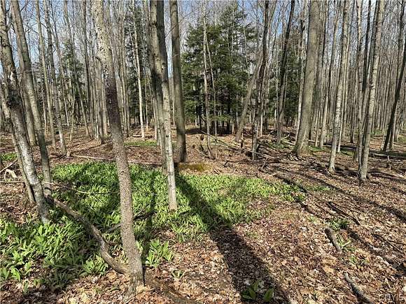 5 Acres of Residential Land for Sale in Grove, New York