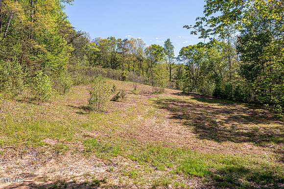 39.2 Acres of Land for Sale in Bulls Gap, Tennessee