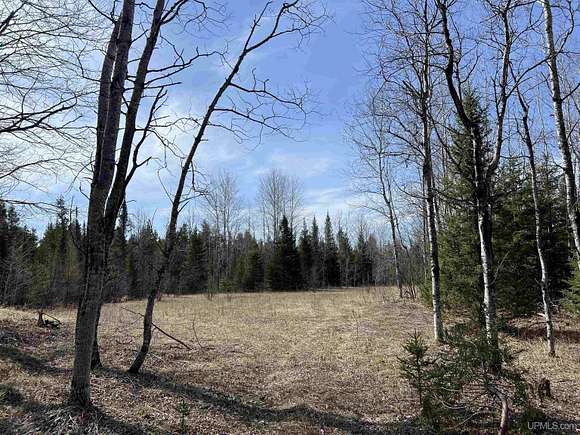100 Acres of Recreational Land for Sale in Cornell, Michigan