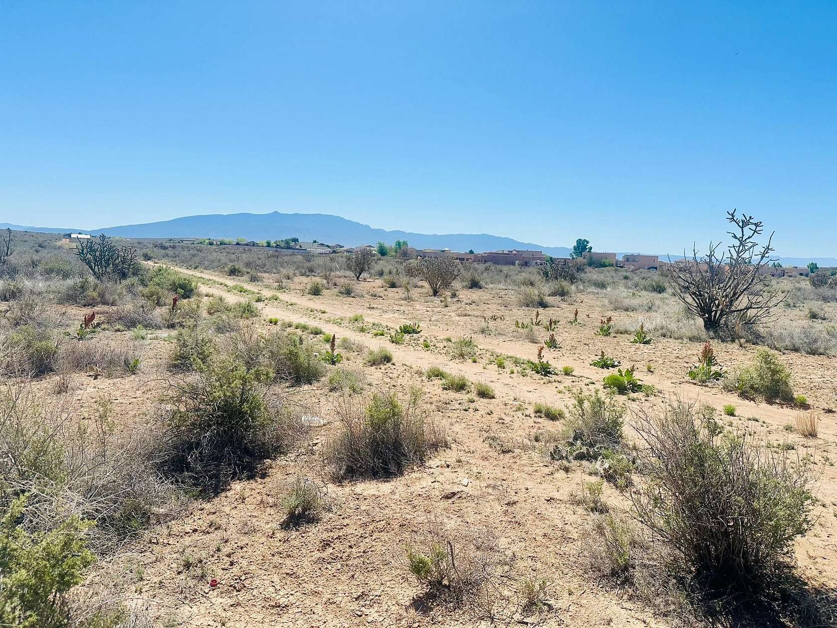 0.5 Acres of Residential Land for Sale in Rio Rancho, New Mexico