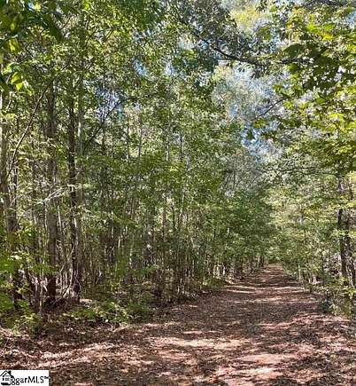 23.7 Acres of Land for Sale in Woodruff, South Carolina