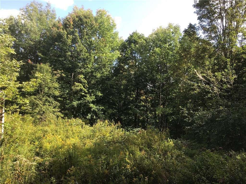 1.7 Acres of Residential Land for Sale in Halcott Town, New York