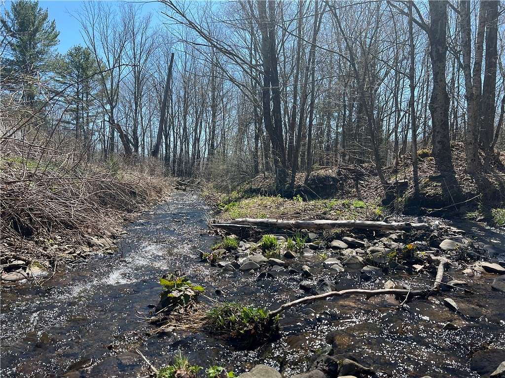 10.5 Acres of Land for Sale in Halcott Town, New York