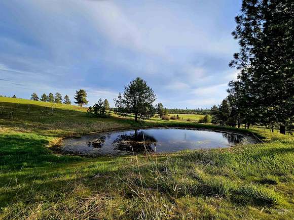 23.3 Acres of Agricultural Land with Home for Sale in Deary, Idaho