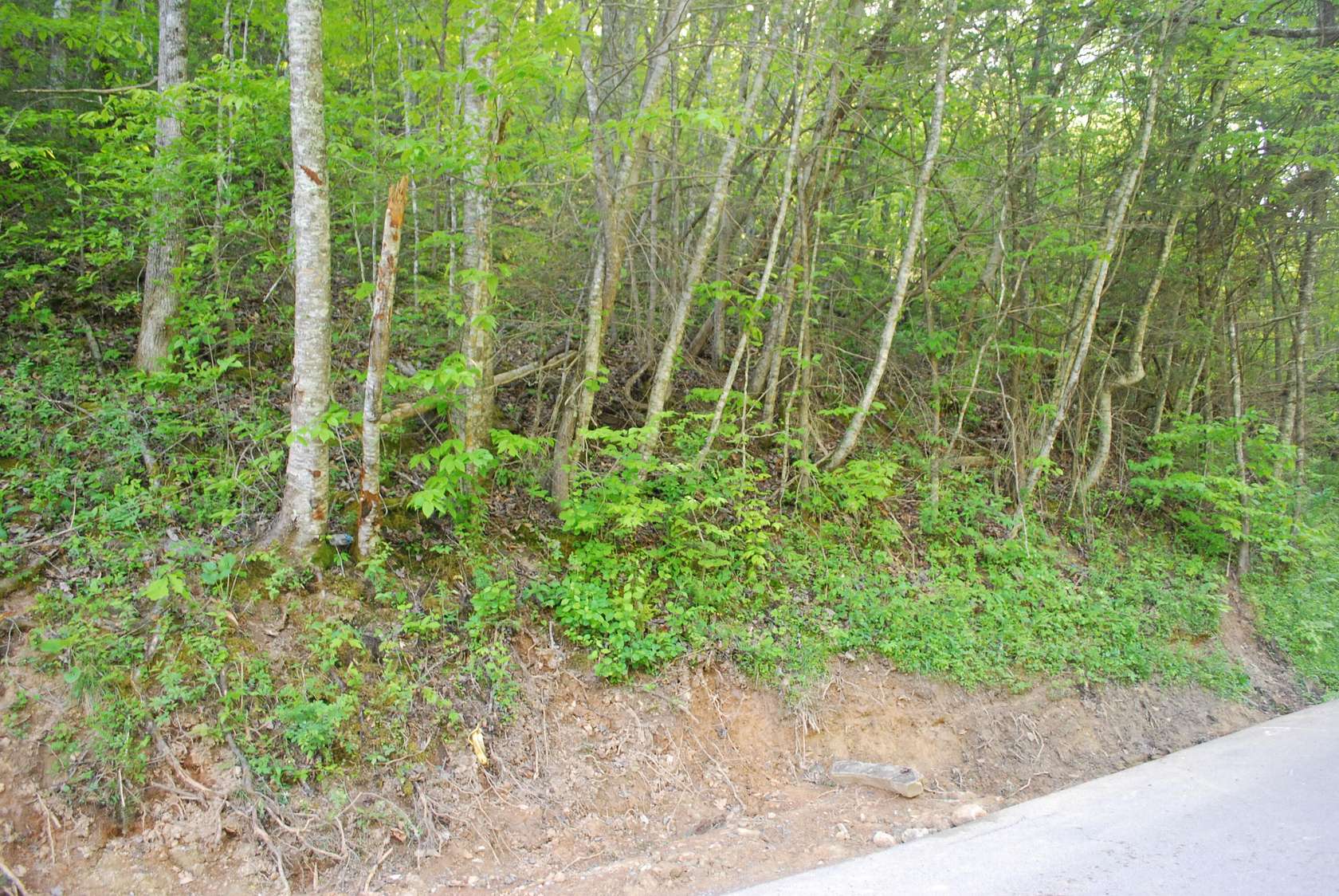0.64 Acres of Residential Land for Sale in Gatlinburg, Tennessee