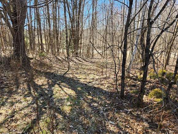 3.8 Acres of Residential Land for Sale in Goshen, New Hampshire