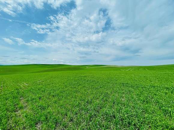 40 Acres of Agricultural Land for Sale in Spangle, Washington