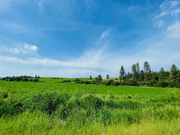 40 Acres of Agricultural Land for Sale in Spangle, Washington