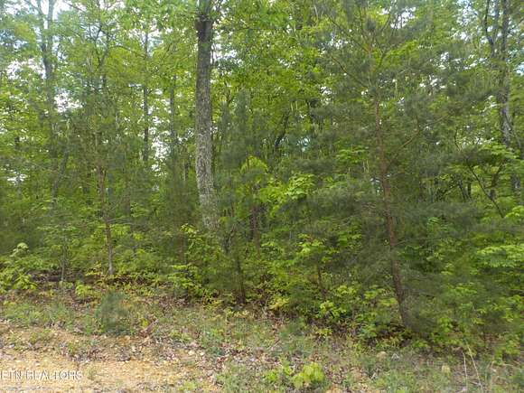 1.1 Acres of Residential Land for Sale in Maynardville, Tennessee