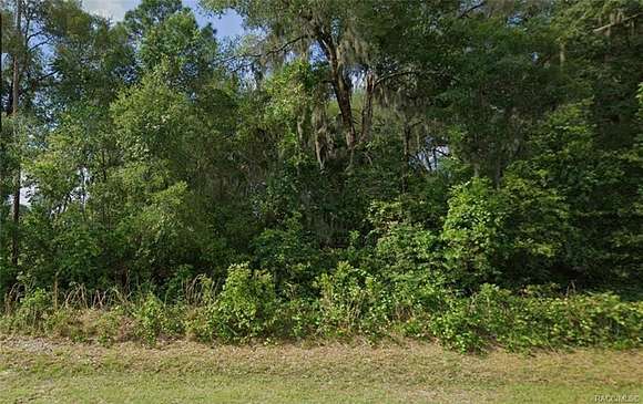 0.29 Acres of Residential Land for Sale in Hernando, Florida