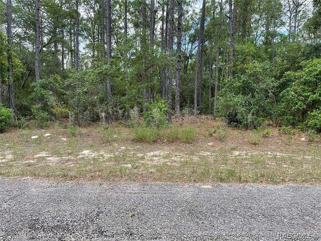 0.5 Acres of Residential Land for Sale in Citrus Springs, Florida