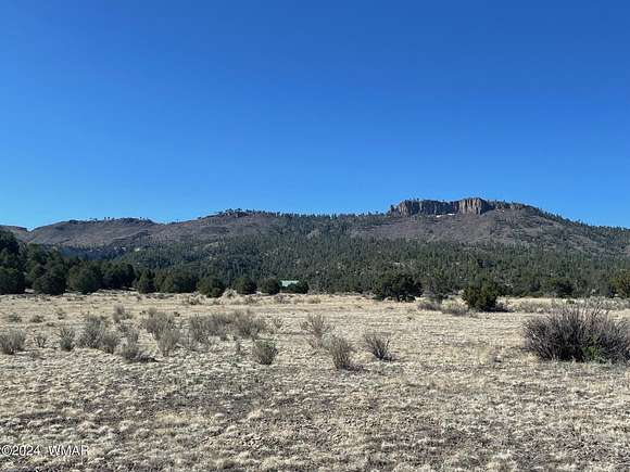 10 Acres of Residential Land for Sale in Nutrioso, Arizona