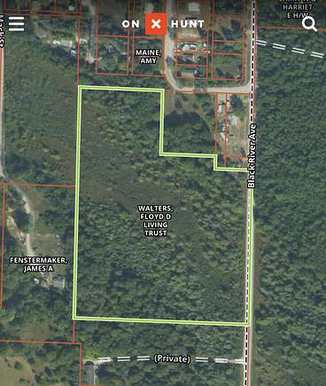 12.1 Acres of Land for Sale in Tower, Michigan