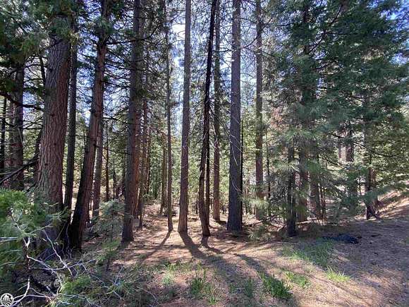 0.25 Acres of Residential Land for Sale in Cold Springs, California
