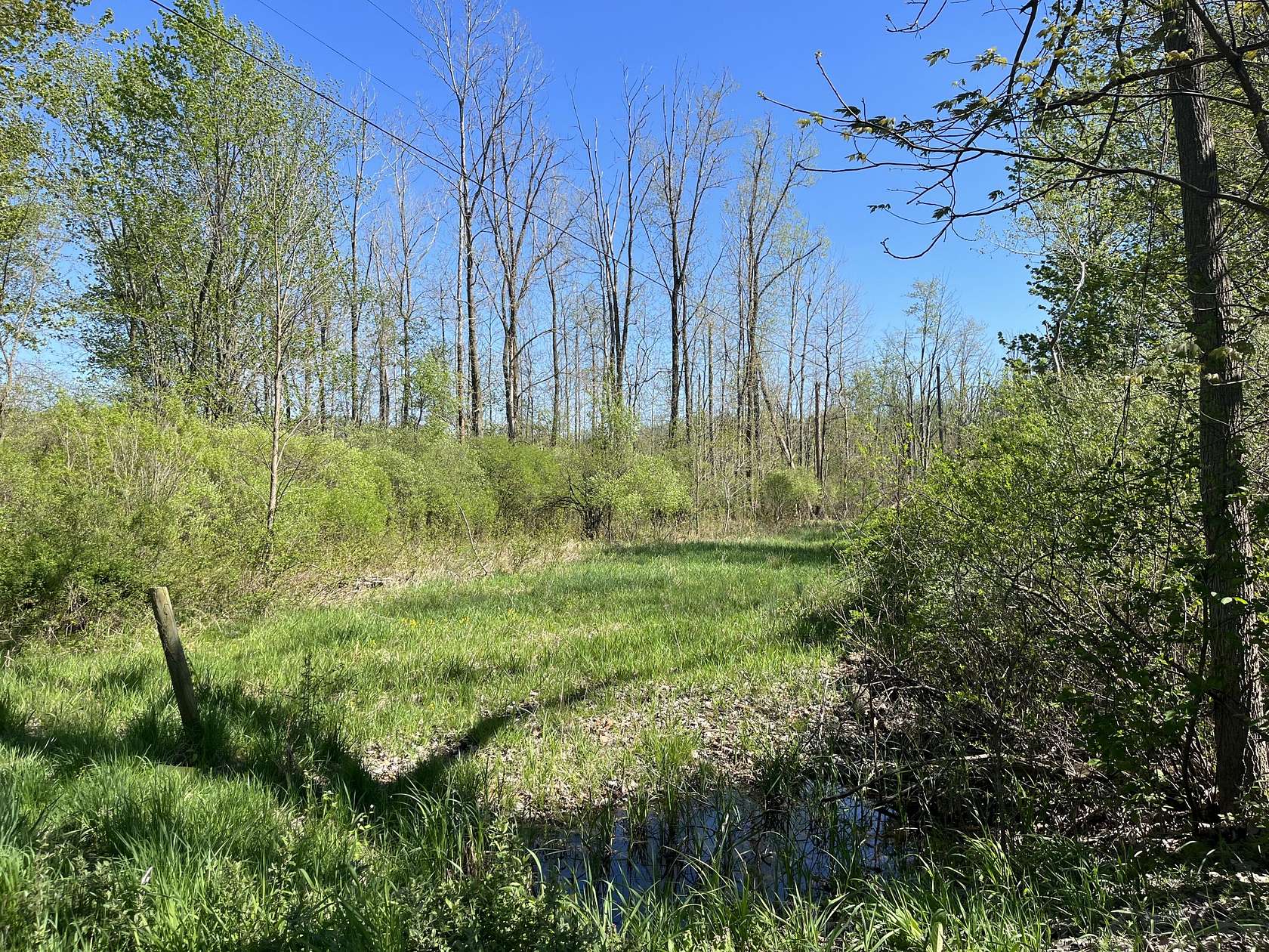 28.7 Acres of Recreational Land for Sale in Paw Paw, Michigan