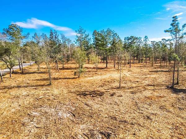 12 Acres of Land for Sale in Blountstown, Florida