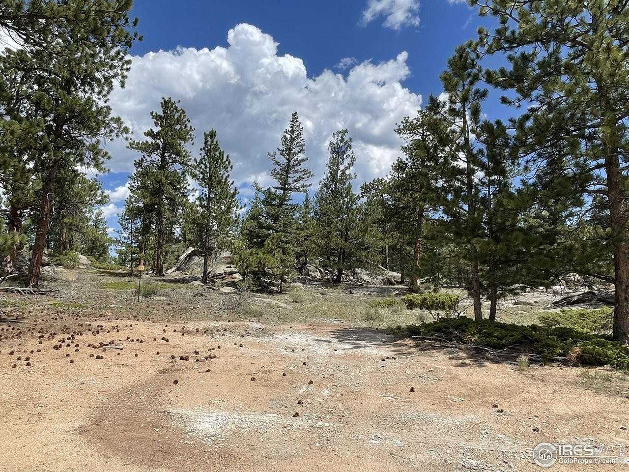 0.25 Acres of Land for Sale in Red Feather Lakes, Colorado