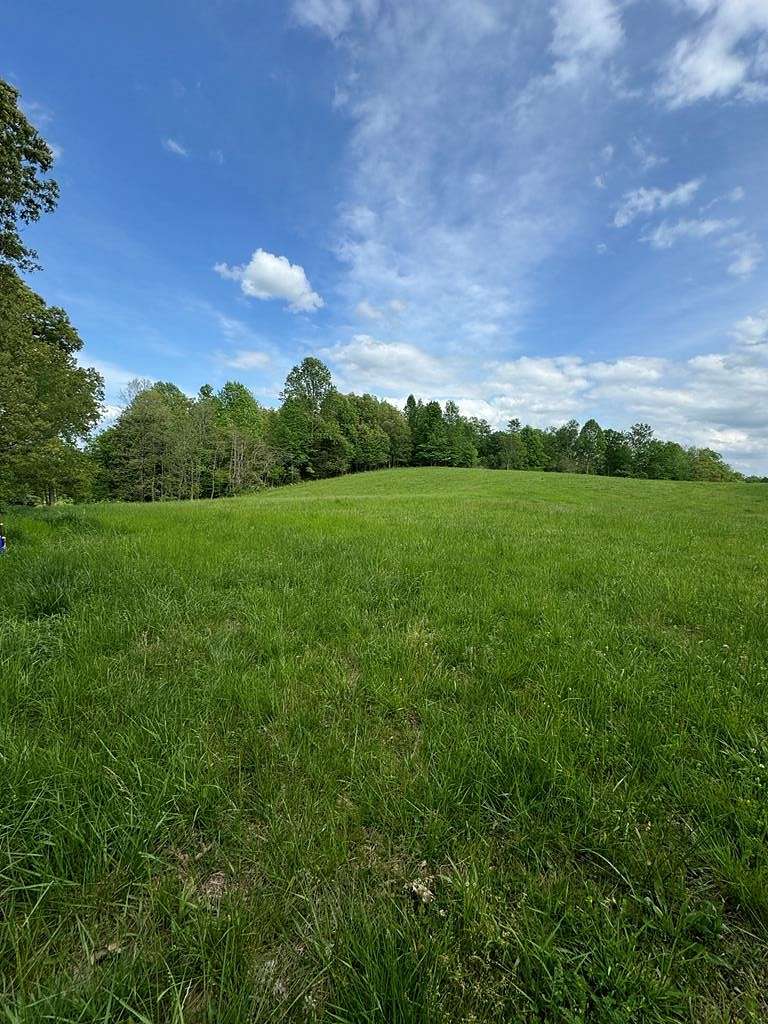 29.7 Acres of Agricultural Land for Sale in Albany, Kentucky