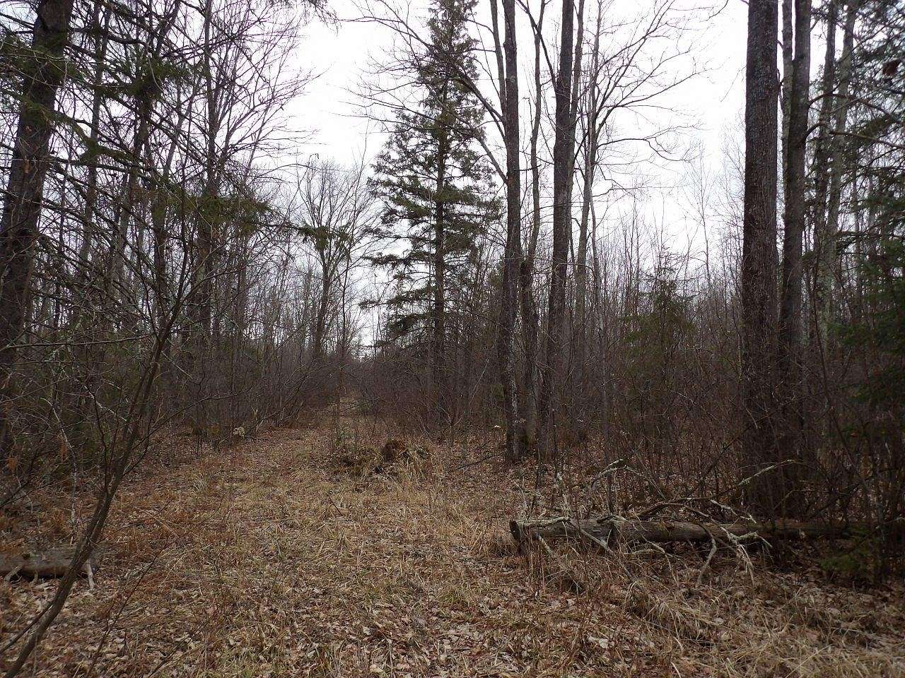 40 Acres of Land for Sale in Winter, Wisconsin