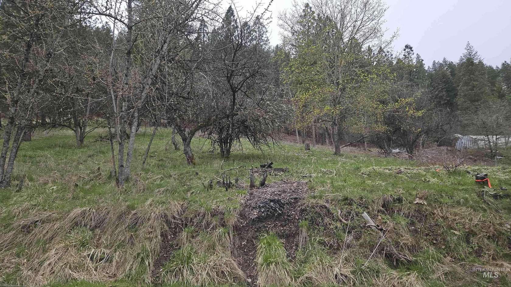 0.12 Acres of Land for Sale in Peck, Idaho