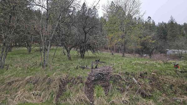 0.12 Acres of Land for Sale in Peck, Idaho