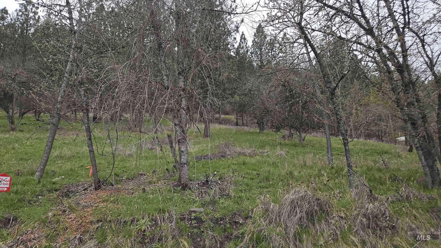 0.12 Acres of Land for Sale in Peck, Idaho