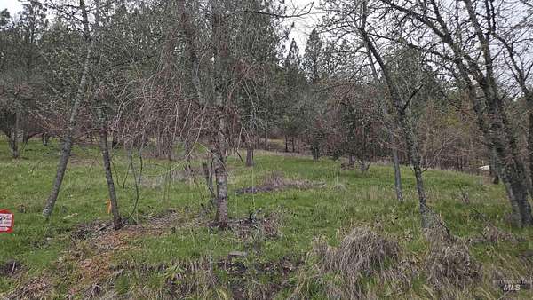 0.12 Acres of Land for Sale in Peck, Idaho