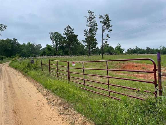 31.6 Acres of Recreational Land & Farm for Sale in San Augustine, Texas