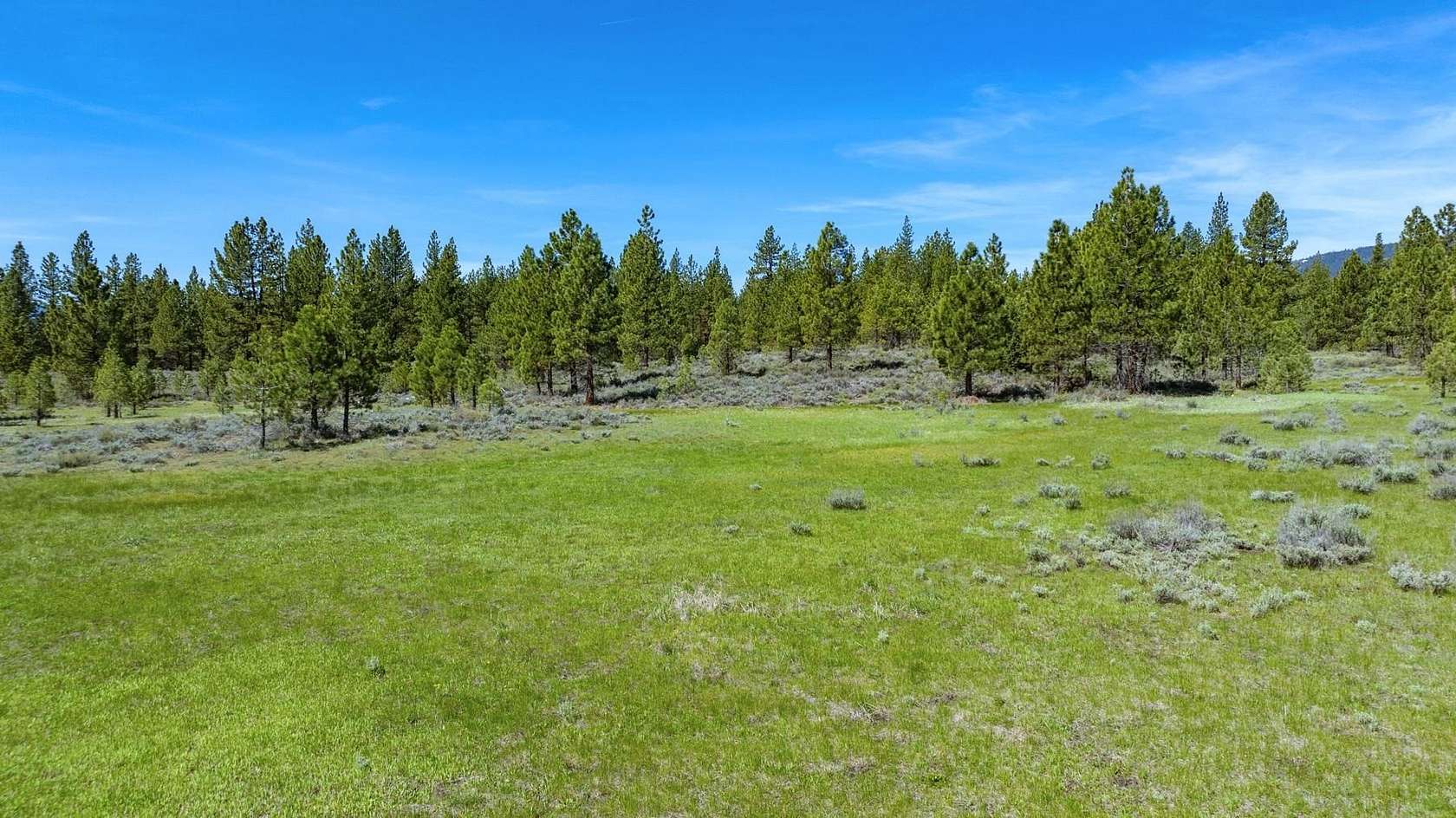 163 Acres of Land for Sale in Portola, California