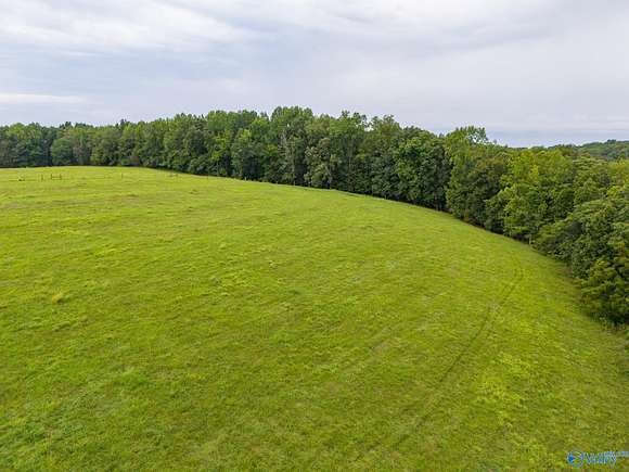 36.5 Acres of Agricultural Land for Sale in Athens, Alabama