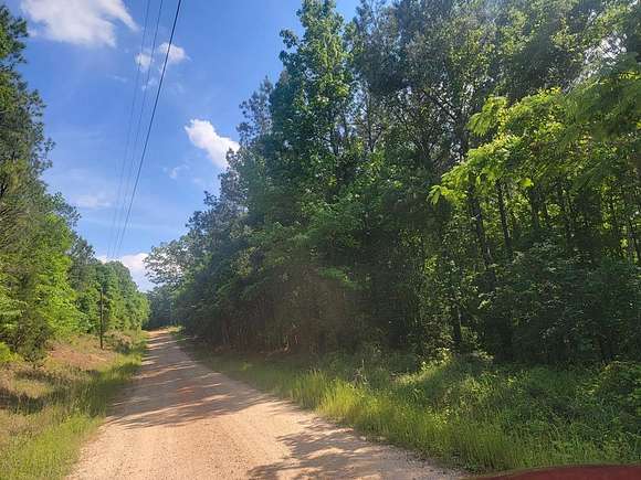 12 Acres of Mixed-Use Land for Sale in Ariton, Alabama