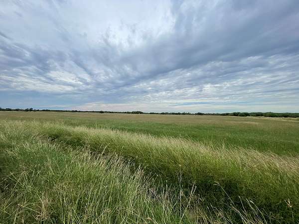 21 Acres of Agricultural Land for Sale in Quemado, Texas