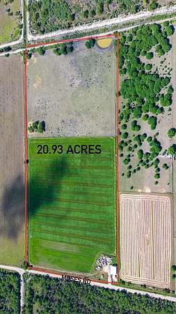 21 Acres of Agricultural Land for Sale in Quemado, Texas