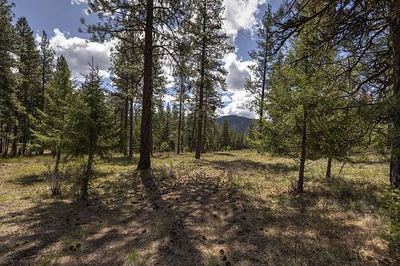 50.5 Acres of Recreational Land for Sale in Alberton, Montana