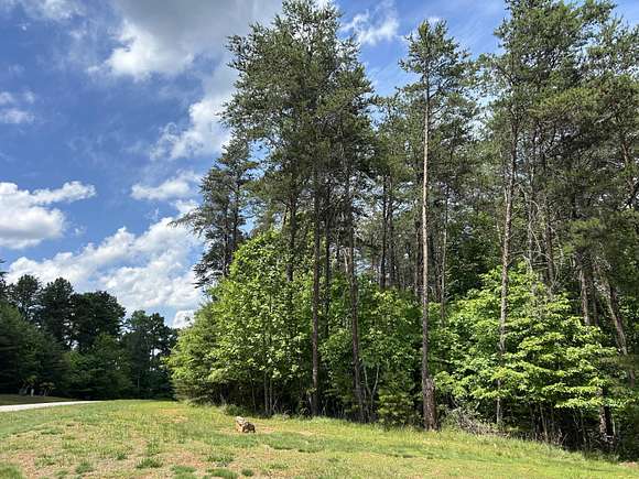 0.9 Acres of Residential Land for Sale in Gretna, Virginia