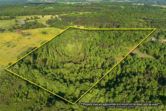 36.5 Acres of Agricultural Land for Sale in Wildersville, Tennessee