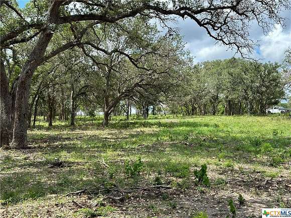 13.3 Acres of Land for Sale in Goliad, Texas