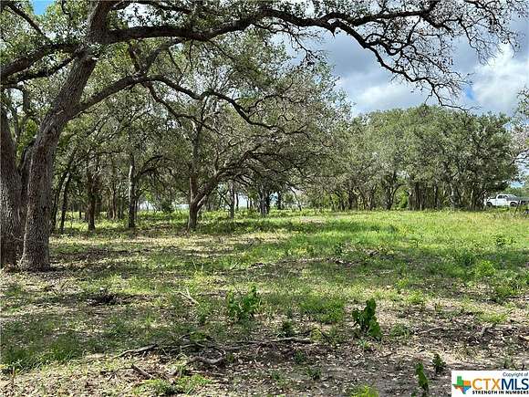 13.25 Acres of Land for Sale in Goliad, Texas