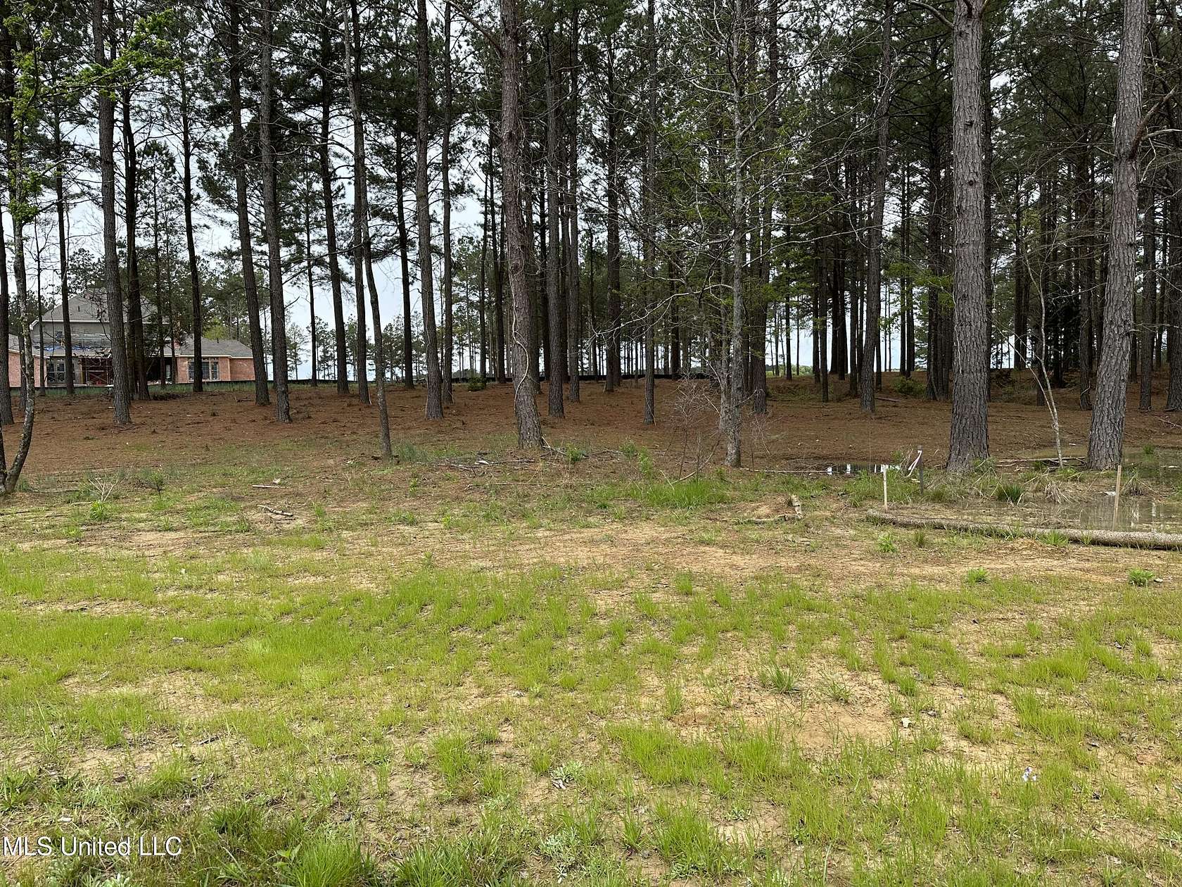 0.78 Acres of Residential Land for Sale in Madison, Mississippi