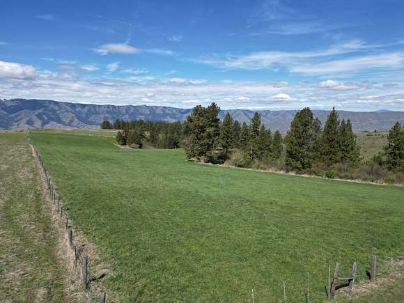 30 Acres of Land for Sale in White Bird, Idaho