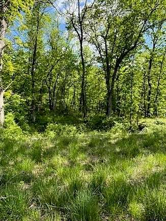 10.9 Acres of Land for Sale in Lone Jack, Missouri