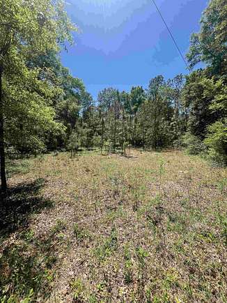 2 Acres of Residential Land for Sale in Crawfordville, Florida